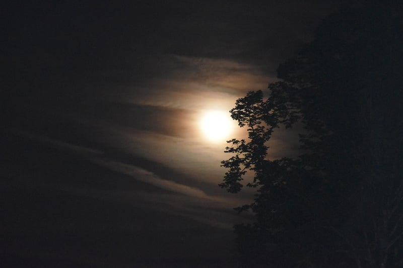 Moonlit Watering Techniques